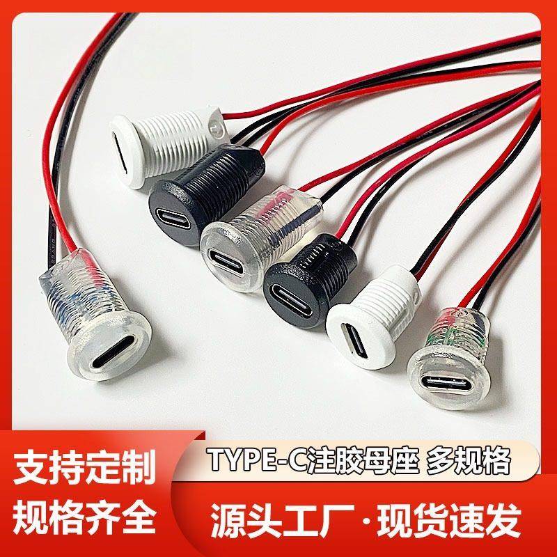TYPE-C母座2p快充接口充电typec注塑带锁外螺牙防水2PIN端子图片