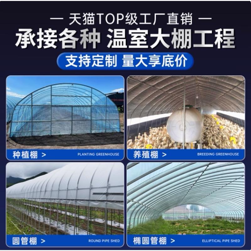 全套定制温室大棚支架椭圆管肩并肩镀锌钢架温室大棚骨架连栋大棚