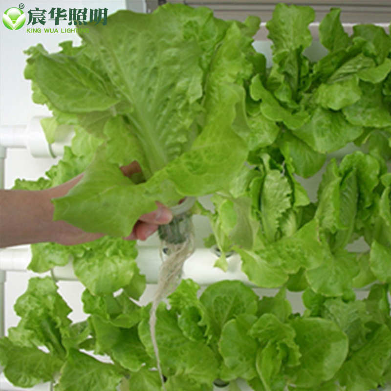 管道式家庭式水耕自动浇灌PVC管道阳台种菜机种植架无土栽培设备