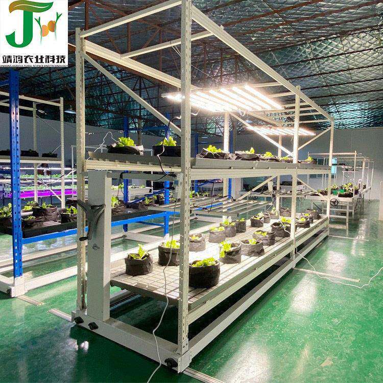 无土栽培双层导轨移动种植架育芽育苗置物架盆栽绿植可移动育苗架