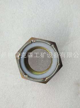 厂家直销 特雷克斯TEREX TR35螺母用于 274489 配件