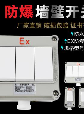 02开1方型防水380V单防尘双控防爆22开SW86照明10开关A墙壁开关