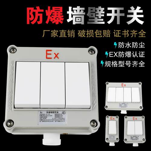 02开1方型防水380V单防尘双控防爆22开SW86照明10开关A墙壁开关