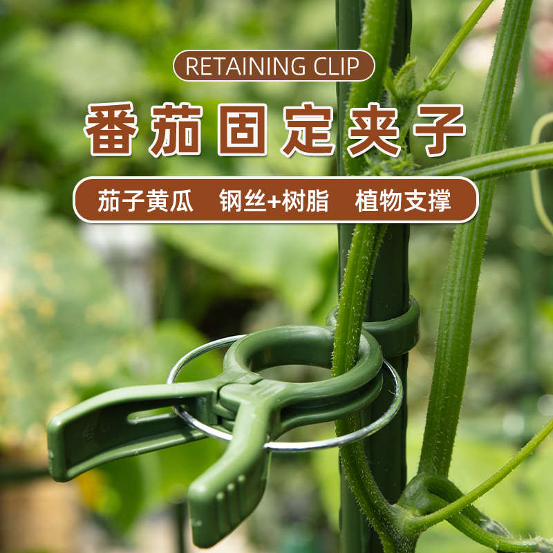 西红柿固定夹黄瓜吊秧夹子爬藤植物番茄吊蔓夹园艺种植辣椒夹子