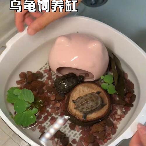换水饲养缸乌龟小型饲养盆换水方便躲避屋家用桌面巴西龟沥水篮子