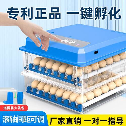 源头工厂芦丁鸡智能迷你鸡蛋孵化箱孵蛋器孵化器温控智能温控