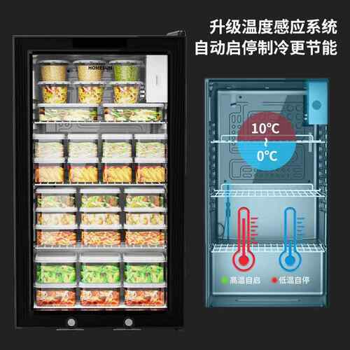 箱奥达信幼儿园学校保鲜品柜水果饮料冷藏Homesun展示柜小冰食留