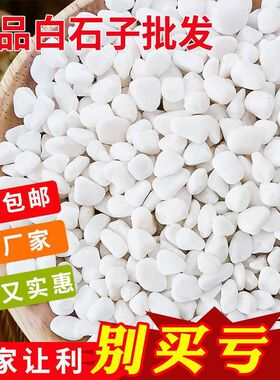 多肉铺面石花盆石头铺面盆栽白石子透气石鹅卵石养花专用白色石子