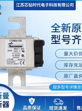 170M4108170M4109170M4110巴斯曼BUSSMANN熔断器保险丝