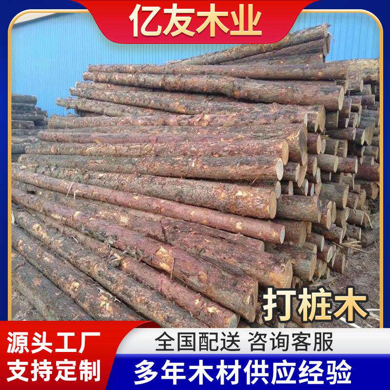 原木河堤杉木桩绿化杆河堤护坡河道松木打桩木落叶松油松木桩