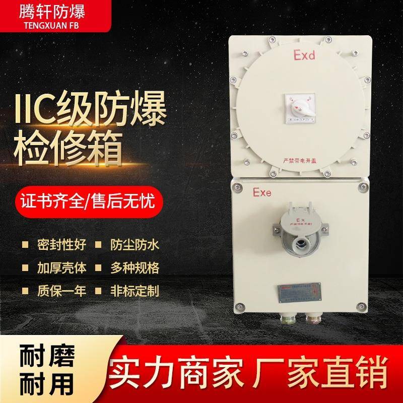 厂家供应 IIC级防爆配电箱 防爆检修箱 防爆动力箱 防爆照明箱