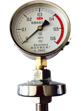 青岛华泰仪表 YTP100隔膜压力表 螺纹式隔膜压力表全规格 耐腐