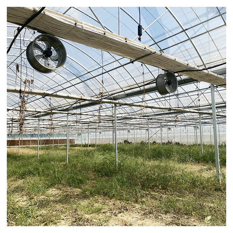外遮阳连栋大棚热镀锌塑料薄膜连栋温室大棚钢架农业种植蔬菜棚