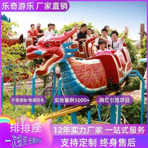 户外大型轨道火车儿童迷你过山车爬坡车滑行龙游乐设备电动大青虫