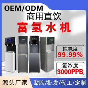 富氢水机浓度家用制氢水机冷热一体饮水机反渗透立式氢水器定制