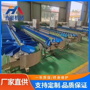 快速分拣称重鸡胸肉高精度料盒式称重分级设备重量分选水果选果机