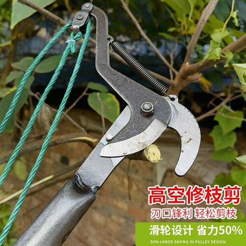 缩树枝剪刀剪刀枝剪摘伸果器空高空修545枝剪刀修剪树高枝园高林