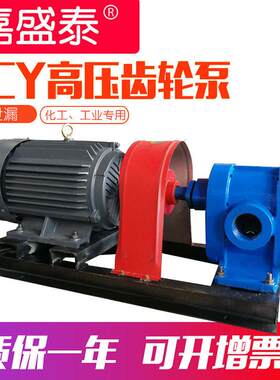 齿轮泵2CY-1.08型压管道皂液泵卧式小型2cy齿轮油泵泵头