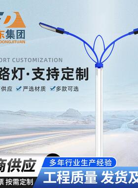 市电路灯新农村市政工程路灯马路双臂路灯户外道路照明灯LED
