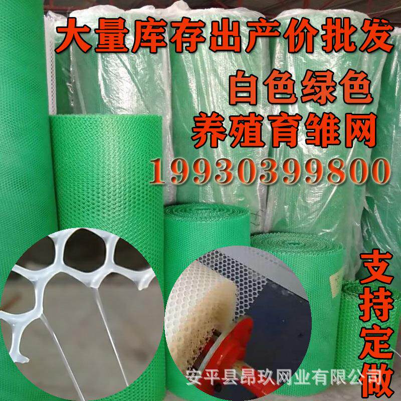 塑料网鸡鸭鹅垫脚漏粪网育雏网宠物笼塑料网片养殖网防护网防漏