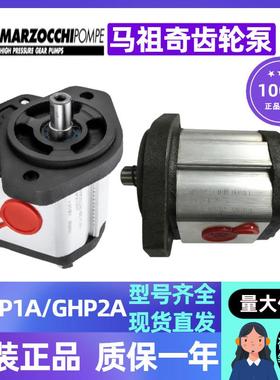 GHP2A-D-6/9/10/12/13/16/20/22/25/30/34/37/40/50-FG马祖奇油泵