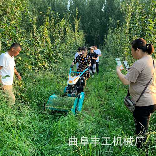 手扶式果园杂草粉碎机小型农用碎草机红薯土豆秸秆杀秧还田机