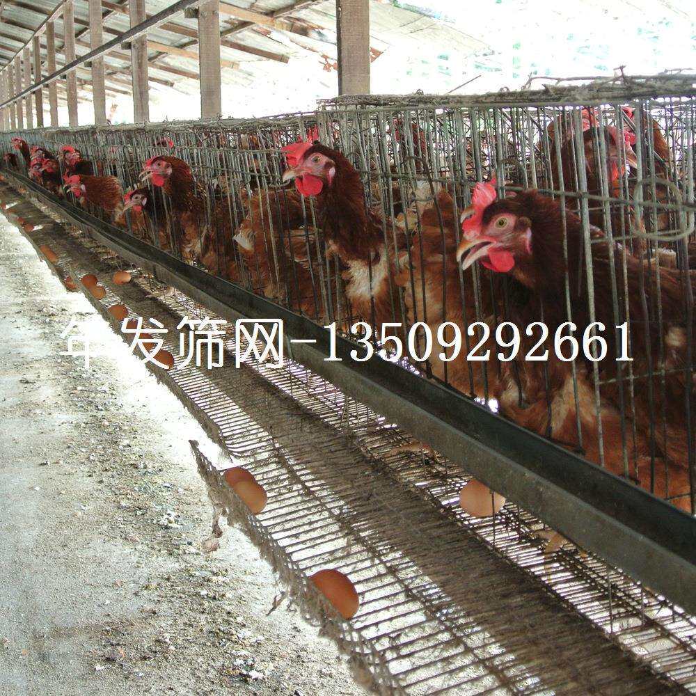 广州厂家 三层阶梯式鸡笼 出口供应蛋鸡笼 加固冷热镀锌鸡笼
