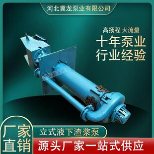 液下渣浆泵耐腐蚀渣浆泵 高浓度液下渣浆泵 A21立式 渣浆泵40ZJL