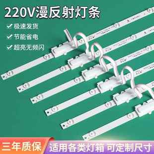 220V高压漫反射灯条 超亮室内外软膜天花窗帘卡布背光灯箱led灯条