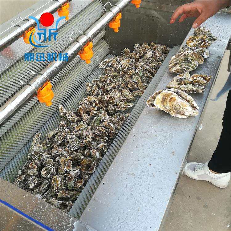 毛辊清洗机可清洗 水果 根茎类 贝壳类蔬菜类等产品