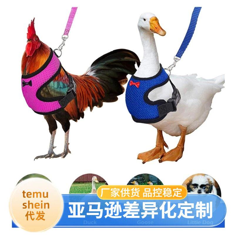 时尚网布宠物软背心套装项圈蝴蝶结引线透气鸡牵引绳家禽用品