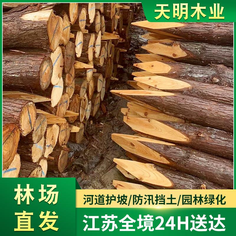 河道木桩打桩木 工地河堤杉木桩护坡整治木桩原木打桩木
