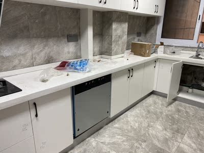 西门子 SJ636X01JC怎么样?试用3个月不偏袒心得分享！