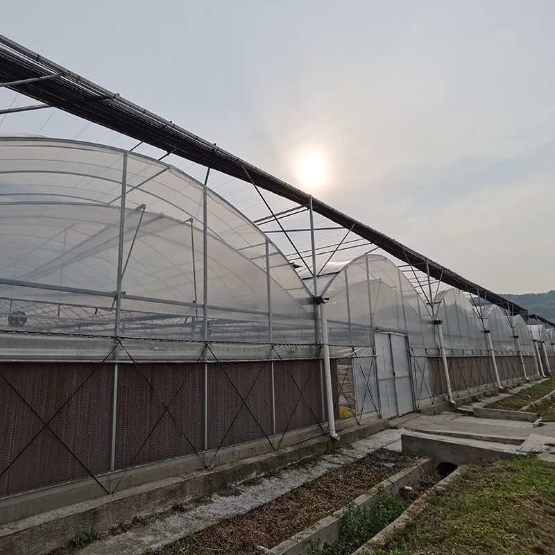 连栋温室大棚薄膜连栋大棚厂家农业育苗温室种植大棚连栋遮阳大棚