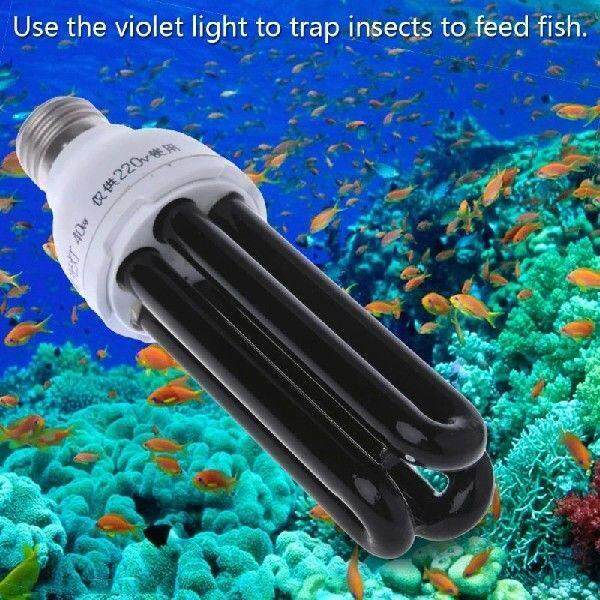 E27 15/20/30/40W UV Fluorescent Blacklight CFL Light Bulb
