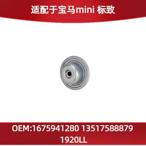 适用宝马mini标致的高压油泵修包1675941280135175888791920LL