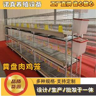 粪盘肉鸡笼养殖场养鸡立体笼立式四层2门养殖笼畜牧农用养殖鸡笼