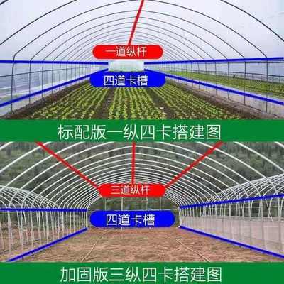 温室大棚骨架蔬菜种殖棚鸡鸭鹅猪牛羊养殖大棚热镀锌架子家用防寒