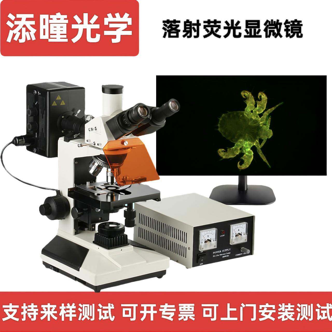 研究级正置荧光显微镜高校实验室生物研究所超清双目目镜