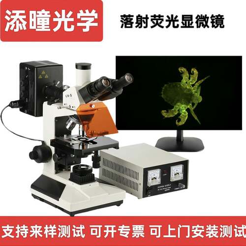 研究级正置荧光显微镜高校实验室生物研究所超清双目目镜