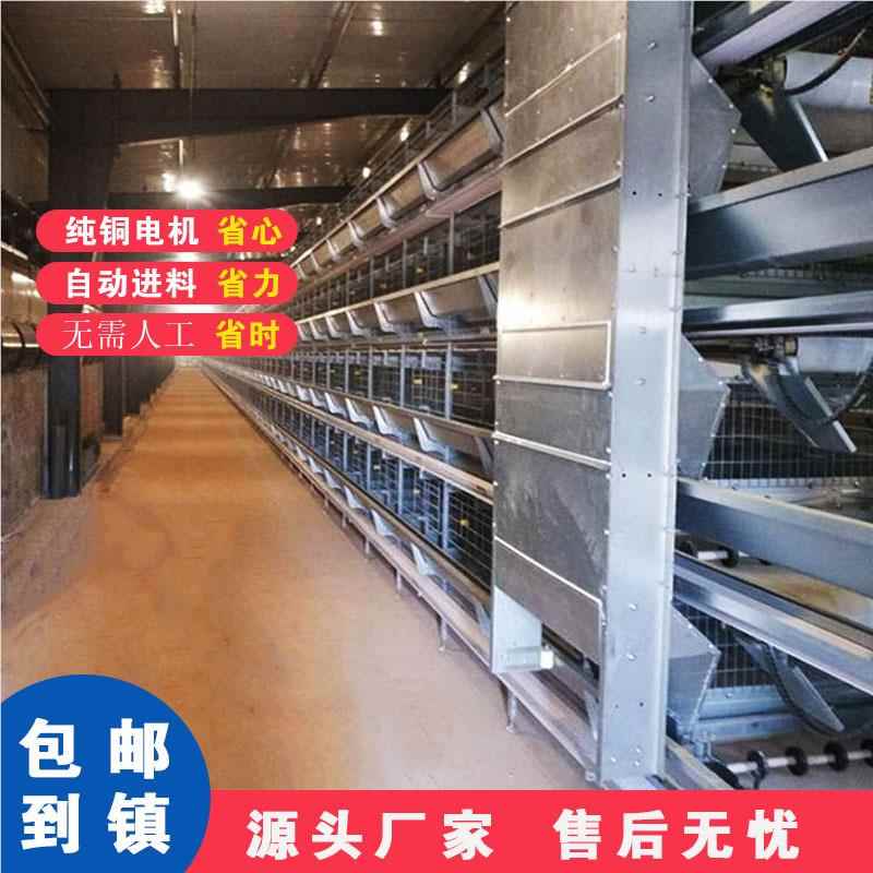 养9JD鸡捡蛋机 中集蛋器  自捡央蛋设备 自动捡蛋机动养鸡场设备