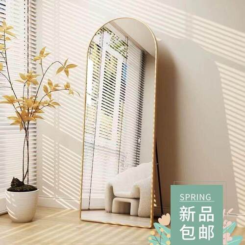Full-length floor mirror fitting mirror全身落地镜子全身镜子