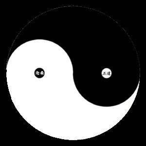 不知如何选科沃斯金睿与灵犀区别，科沃斯金睿这款扫地机器人好吗