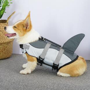 宠物雨衣游泳衣服救生衣柯基法斗泰迪金毛大中小型犬狗狗玩水专用