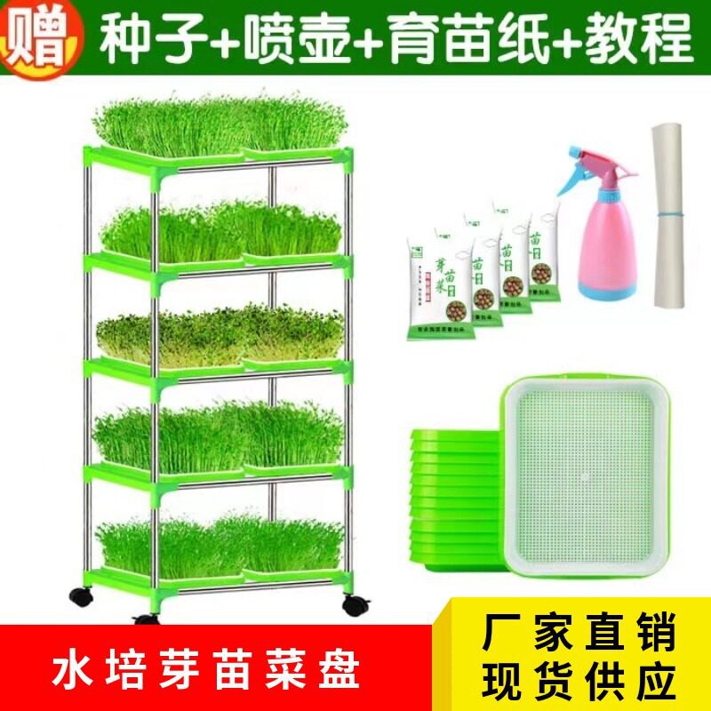 现货速发芽苗菜育苗托盘豆芽发芽盆豆苗种植无土栽培设备水培蔬菜