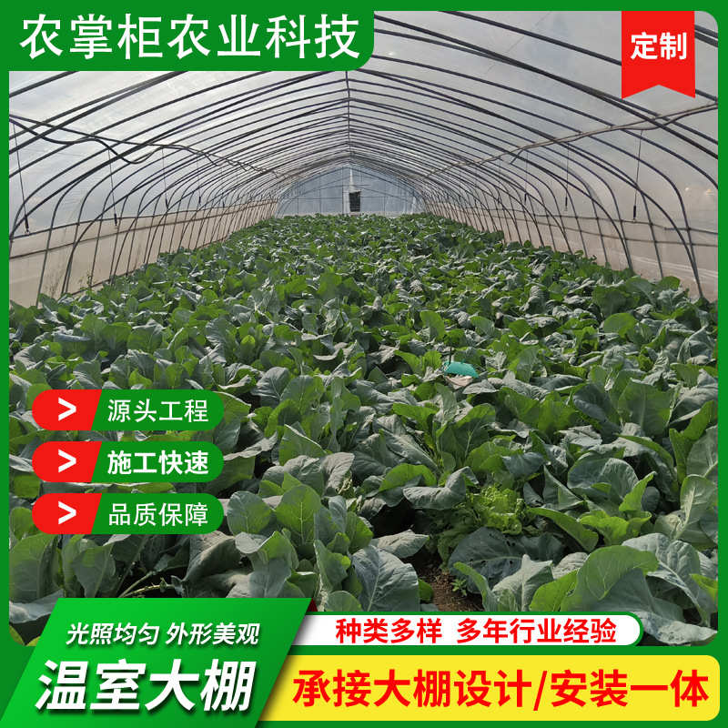 农业种植草莓蔬菜大棚  红美人农业温室大棚建设 蔬菜温室大棚