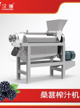 厂家直销出汁率高的小型工业榨汁机桑葚螺旋榨汁机水果蔬菜打汁机