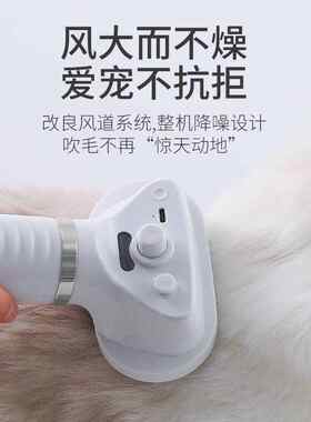 宠物吹风机带喷雾小型犬猫洗澡吹干拉毛一体机吹毛梳子针梳头