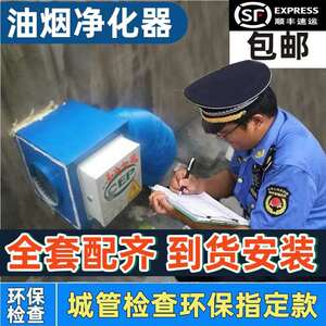 梵奈帝油烟净化器小型4000风量商用饭店厨房餐饮一体机静电式环保