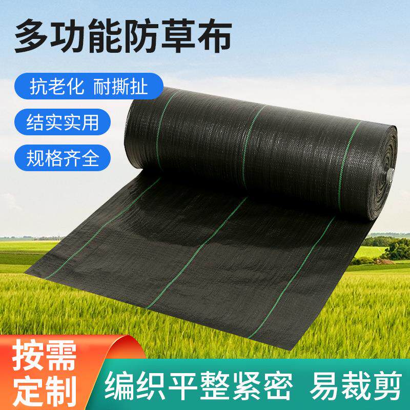 果草园大棚防草布遮草化布 水绿色园ZQA艺抗老 防布加渗厚抗晒除